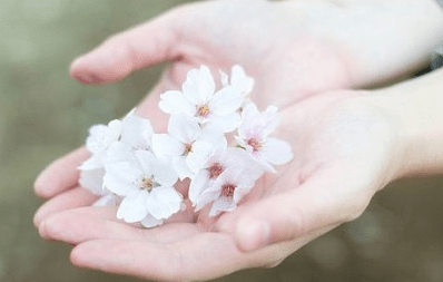 适合元旦当天发的说说配图 第3张