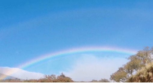 六一儿童节晒孩子照片朋友圈说说 第2张 六一儿童节晒孩子照片朋友圈说说 第2张
