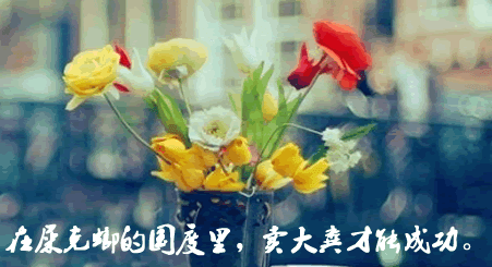 关于七夕搞笑说说图片段子