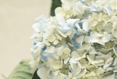 三八妇女节送给妈妈祝福的一句话 第1张
