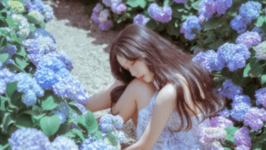 雨中樱花的优美句子 描写樱花美丽淡雅诗句 第1张 雨中樱花的优美句子 描写樱花美丽淡雅诗句 第1张