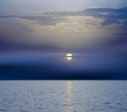 适合元旦当天发的说说配图 第2张