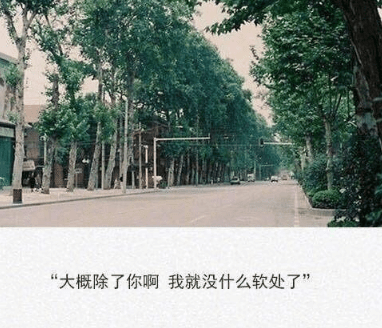 2022春分微信简单心情说说 第1张