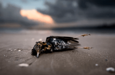 形容很惬意放松的诗句 个性说说诗意唯美诗句 第1张 形容很惬意放松的诗句 个性说说诗意唯美诗句 第1张