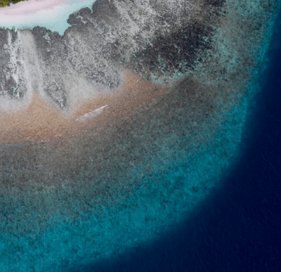 距离一尺秋叶不止 第3张 距离一尺秋叶不止 第3张