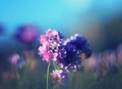 热爱祖国的诗句名言 第3张 热爱祖国的诗句名言 第3张