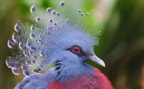 距离一尺秋叶不止 第2张 距离一尺秋叶不止 第2张