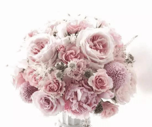 三月再见四月你好抖音简短文案说说 第2张 三月再见四月你好抖音简短文案说说 第2张