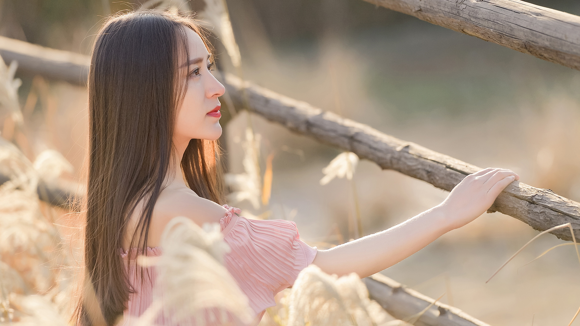 甜蜜爱情的唯美句子 第3张