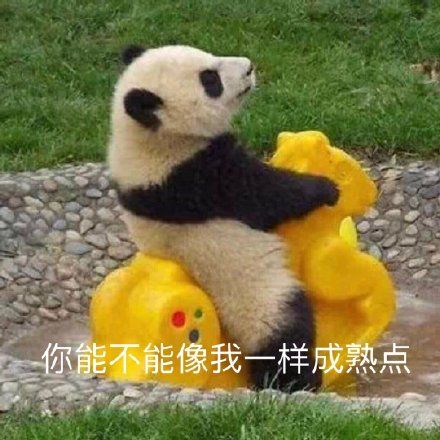 白色情人节谁陪我说说 白色情人节可以发祝福吗 第2张