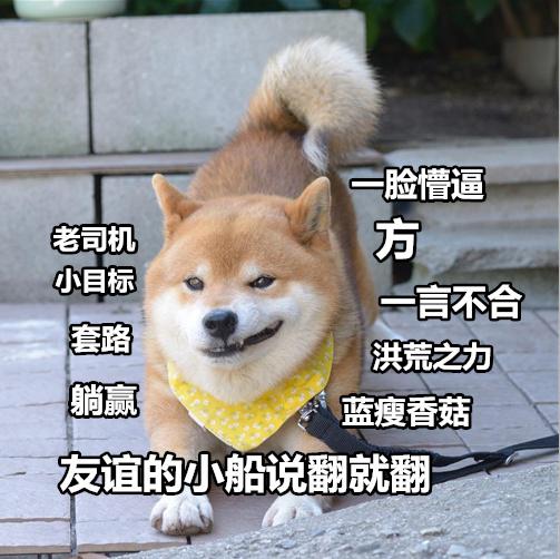 关于泡面的一句经典的话 第1张