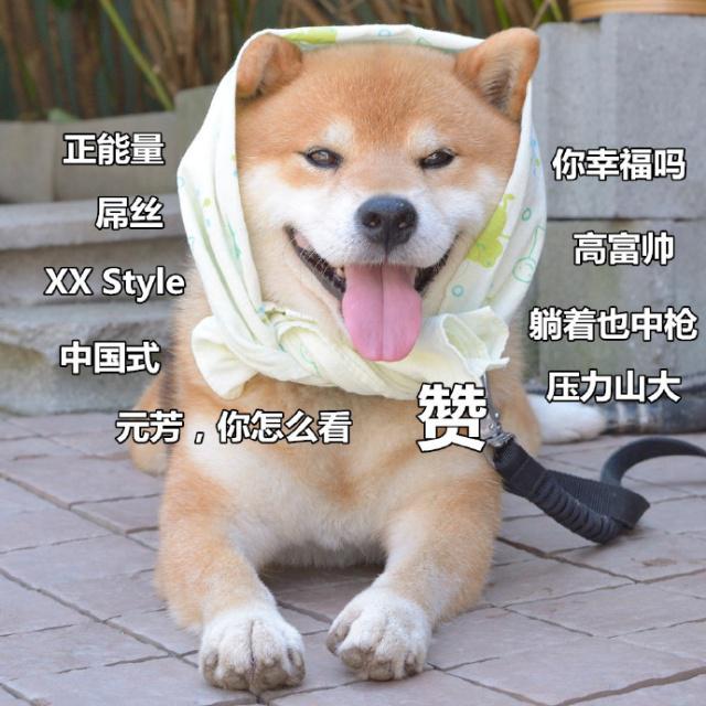 女生节送给女生祝福的话 祝自己女生节快乐的祝福语 第1张