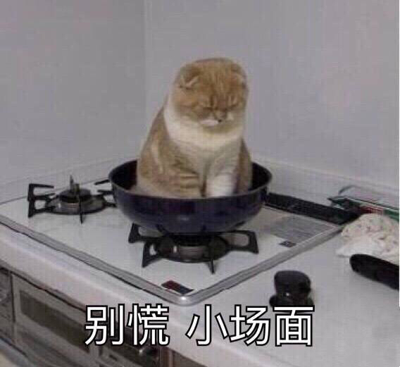 在安静中不慌不忙的坚强