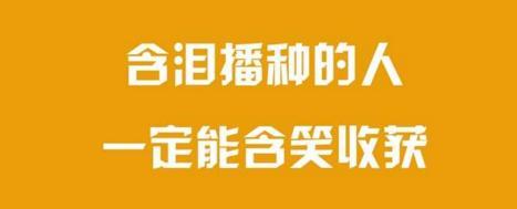 对某人失望心寒的诗句 第2张